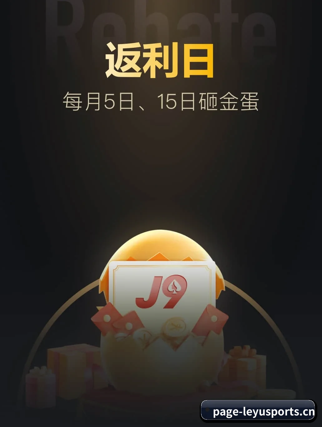乐鱼体育 APP（leyusports）